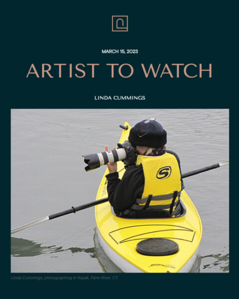 Artist to Watch - Mercer Contemporary
