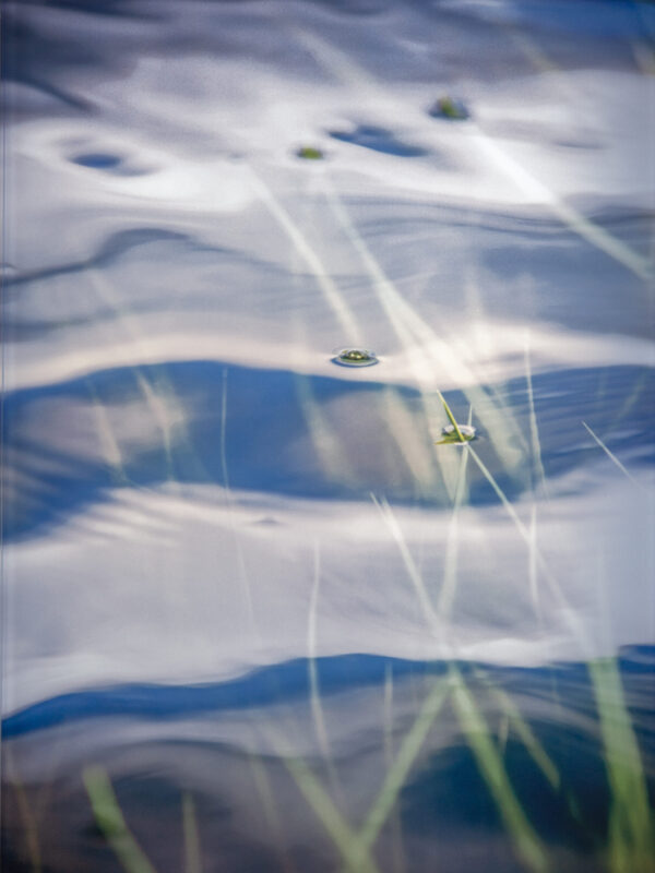 03 Linda Cummings June Bug I Gaylord Hope Chapel, 78”x48” Photographic Art Glass (GALLERY 1) 2023