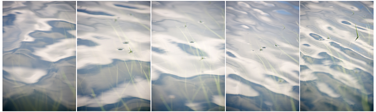 Linda Cummings June Bug Scroll II