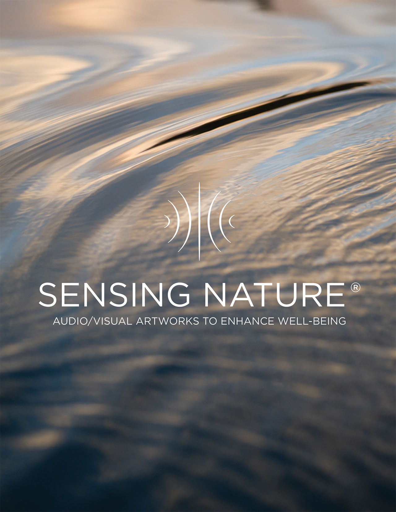 Sensing Nature Overview v0.2 copy copy 3 1